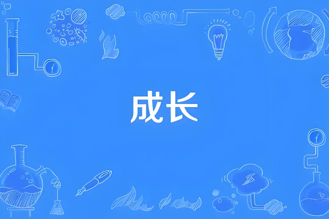 一个普通女孩靠跨境电商独立站养活全家